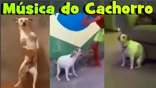 Música do Cachorro - Meme do Cachorroooooo  Au REMIX