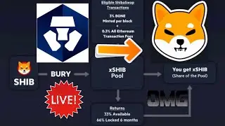 HOW TO STAKE (BURY) SHIB FROM CRYPTO.COM DEFI WALLET TO SHIBASWAP