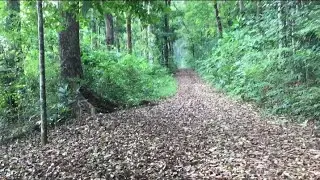 🛑RANDOM‼️jalan-jalan keliling desa 