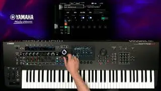 Montage M Tips | Overdub controller movements in real-time