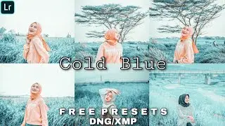 Cold blue preset lightroom || Lightroom mobile presets free dng