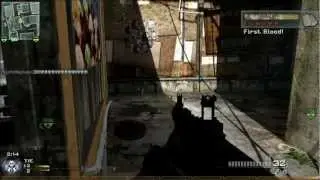 100-1 mw2