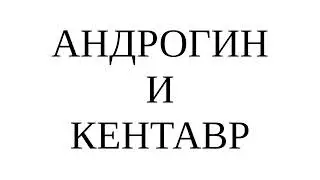 Песнь Песней, Андрогин и Кентавр