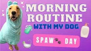 A Morning with my Golden Retriever SPA DAY | goldenbearollie