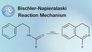 Bischler-Napieralaski Reaction Mechanism | Organic Chemistry