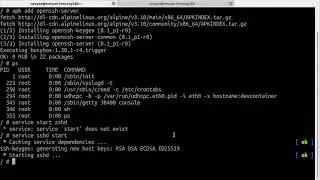 Web development inside  LXC / LXD containers in Ubuntu