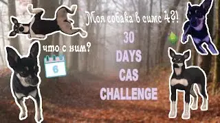Моя собака в симс 4?!/30 DAYS CAS CHALLENGE/6 day/6 день/Someone you know/LizzY & LifE