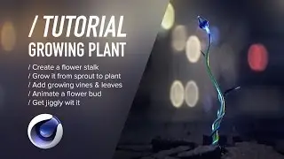 C4D TUTORIAL | Growing Plant  [Cinema 4D]