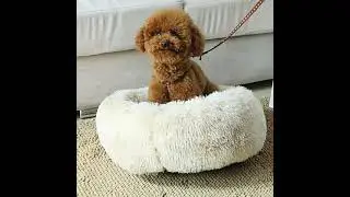 Beautiful relaxing beds for pets beds for dogs and cats big and small