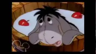 [2011] Eeyore has a 