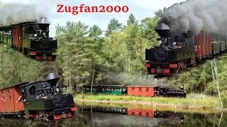 Waldbahn-Entdeckerzug - Waldeisenbahn Muskau