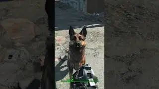 DOGMEAT IS THAT YOU #fallout #fallout4 #shorts