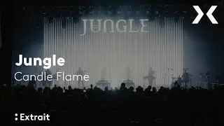 Jungle - 