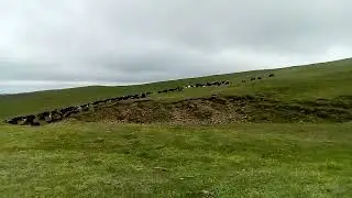 Горы Кавказа