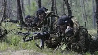 Инженерные Войска Министерства Обороны Российской Федерации