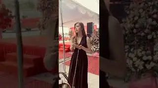 Cánh hồng phai - cover by Thuý Quỳnh
