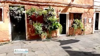 Le bonheur pour 2024. Vidéo à partager librement.