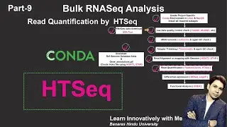 Bulk RNA-Seq Analysis Series: Part 9 -  HTSeq counts