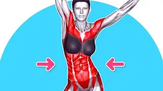 ➜ Unbelievable BELLY Slimming Routine You Can Do Anywhere!