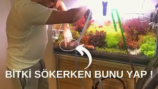 BİTKİLİ AKVARYUM DİP ÇEKİMİ SU DEĞİŞİMİ | OASE FİLTOSMART 100 ! 