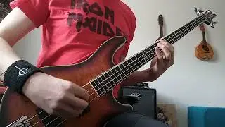"Lateralus" Tool bass cover