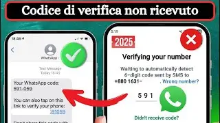 Come risolvere il problema del codice di verifica di WhatsApp | OTP di WhatsApp non ricevuta