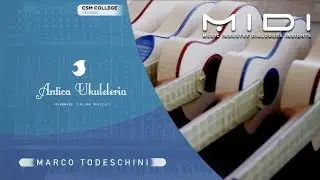 Antica Ukululeria - MIDI: Music Industry Dialogues and Insights