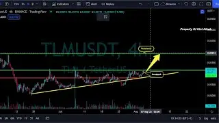 Alien World TLM Price Prediction