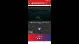 Итоги конкурса на петов