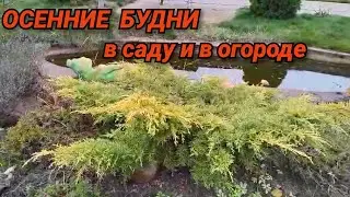 А мы вот чем занимаемся
