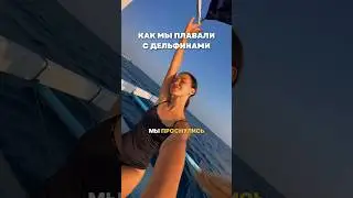 Как мы плавали с дельфинами