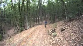 Velomount