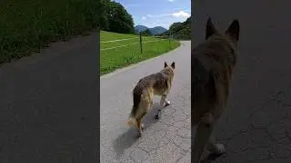 our simple countryside life 