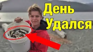 КАК ЛОВИТЬ МОЙВУ / КАК ЛОВИТЬ РЫБУ СЕТКОЙ / КАК ПОЙМАТЬ МНОГО РЫБЫ / РЫБАЛКА НА ТИХОМ ОКЕАНЕ КАНАДА