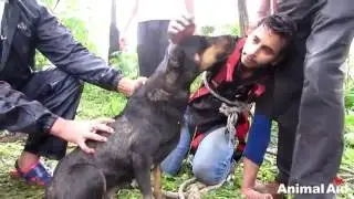 Собака заплакала, увидев спасателей