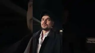 Кедровый бор