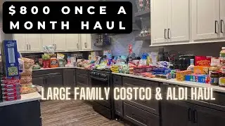$800 ONCE A MONTH SHOPPING FOR MY FAMILY OF 8 || SHOPPING FOR A LARGE FAMILY AT COSTCO AND ALDI.