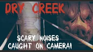 DRY CREEK | HAUNTED TRAIL IN MODESTO | WOULD YOU COME HERE AT NIGHT? (VERY EERIE)