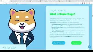 Banker DOGE- Not Investable. no future. DYOR
