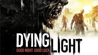 Dying Light amd fx 8320e  gtx 550ti