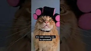 Кто ещё скажет, если не они 