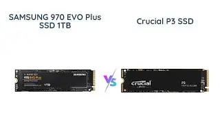 Samsung 970 EVO Plus vs Crucial P3 | Which SSD is Worth the Money?