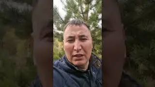 АЭС будет в Казахстане!