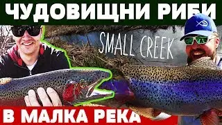 ЧУДОВИЩНИ РИБИ в малка река широка 1 метър / Monsters in small river / TINY HIDDEN Creek