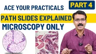 Microscopy Made Easy – Part 4: Quick Revision of Common Pathology Slides | Dr. Vijay Shankar