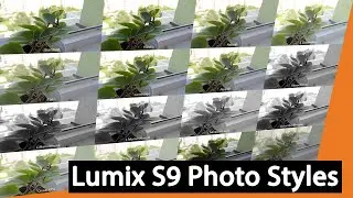 Panasonic Lumix S9 Photo Styles Comparison