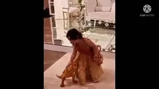 OMG .Amal Muneeb  cutest videos From Minal Khan walima .