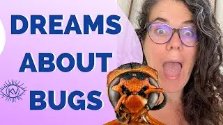 Dreams About Bugs: Confronting Shadow