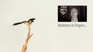Meditation: Relaxed, Awake and Open, with Jonathan Foust