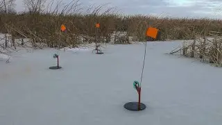 НЕВЕРОЯТНО! Рыбалка на жерлицы с подводными камерами! Атака щуки на живца!